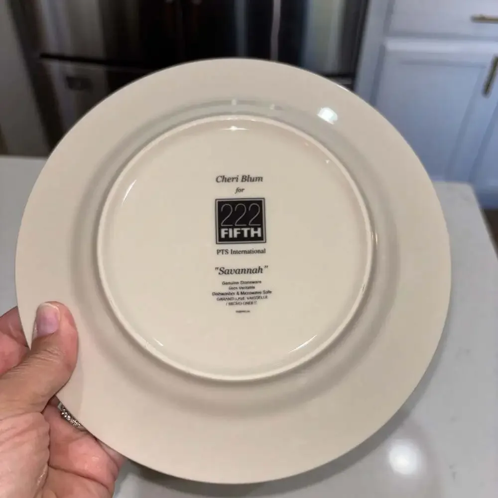 222 Fifth Savannah by Cheri Blum Stoneware Salad Plates Set of 4
